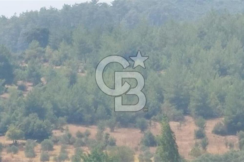 Bodrum Milas Yolu üzeri Satılık Villa Arsası
