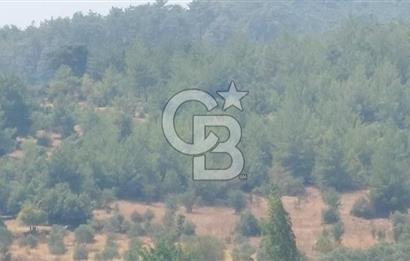 Bodrum Milas Yolu üzeri Satılık Villa Arsası
