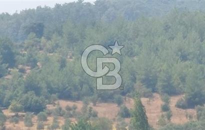 Doğa içinde Satılık Villa Arsası
