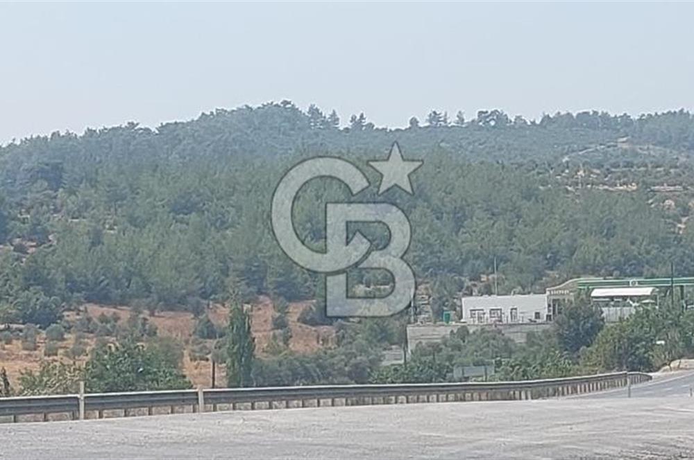 Doğa içinde Satılık Villa Arsası
