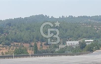 Doğa içinde Satılık Villa Arsası