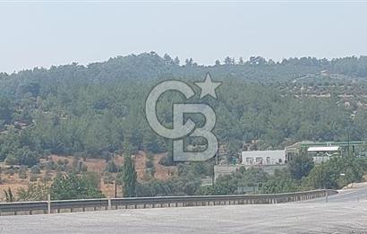 Bodrum Milas Yolu üzeri Satılık Villa Arsası