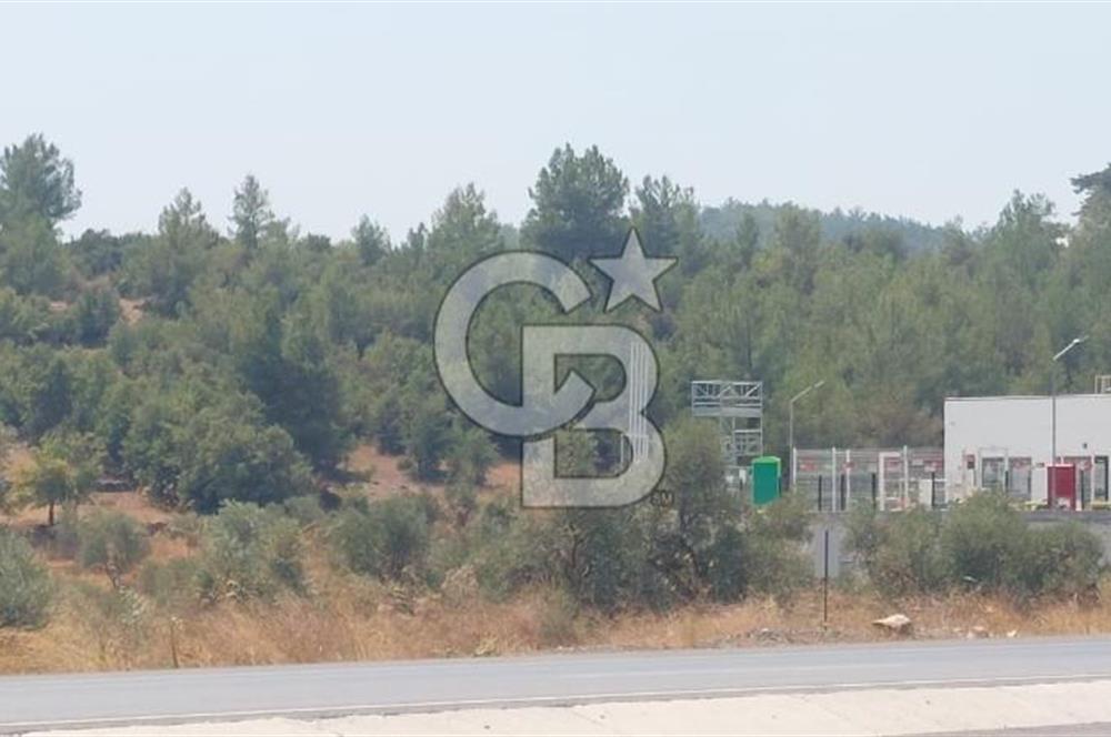 Doğa içinde Satılık Villa Arsası