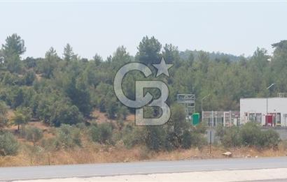 Doğa içinde Satılık Villa Arsası