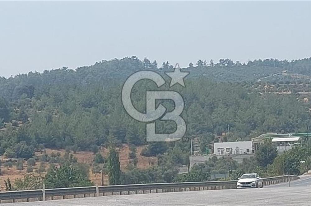 Doğa içinde Satılık Villa Arsası