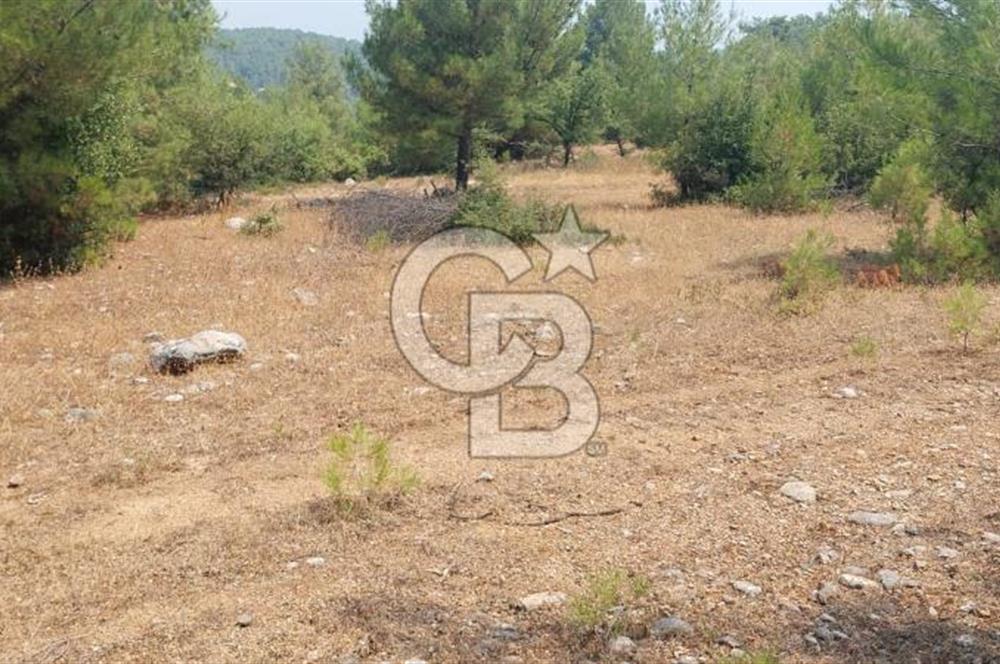 Bodrum Milas Yolu üzeri Satılık Villa Arsası