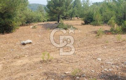 Bodrum Milas Yolu üzeri Satılık Villa Arsası