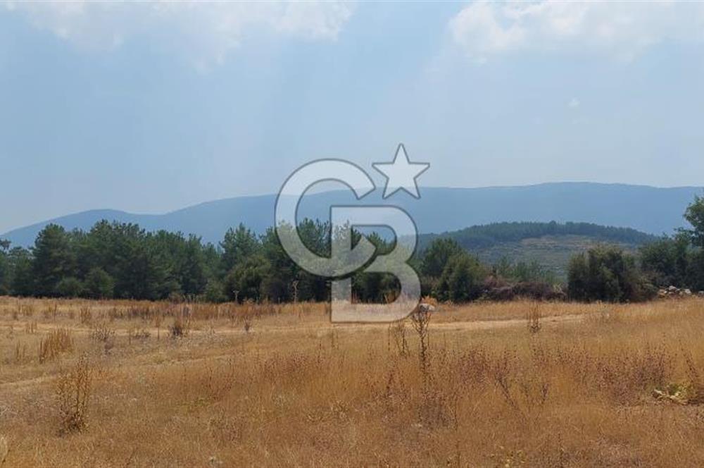 Bodrum Milas Yolu üzeri Satılık Villa Arsası