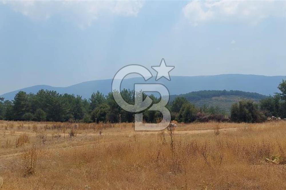 Doğa içinde Satılık Villa Arsası