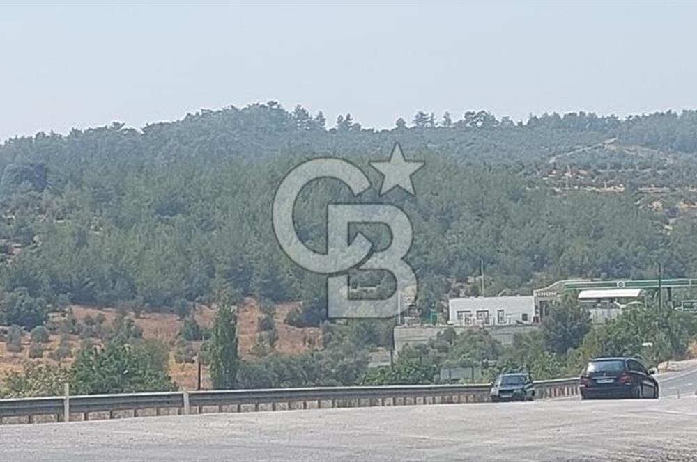 Doğa içinde Satılık Villa Arsası
