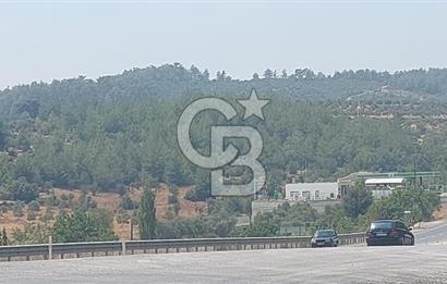 Bodrum Milas Yolu üzeri Satılık Villa Arsası