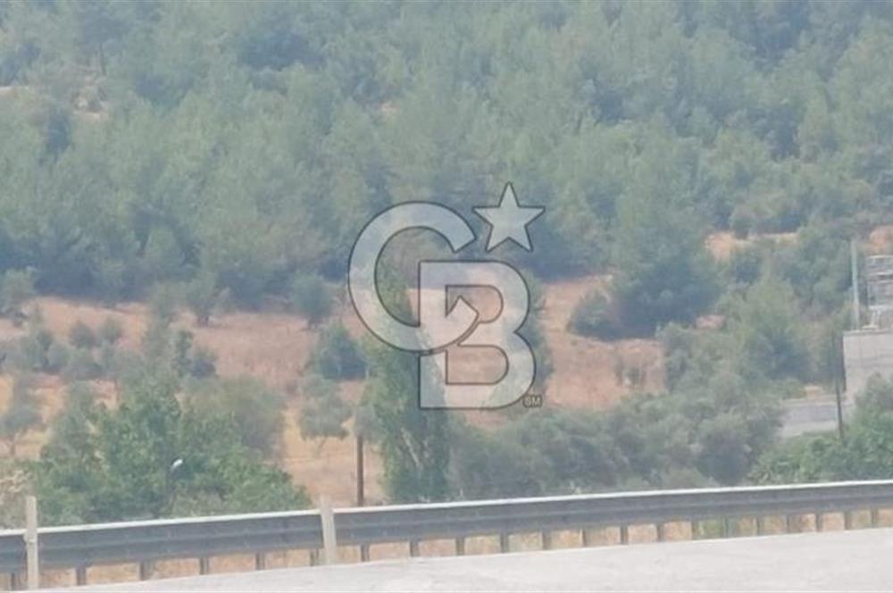Bodrum Milas Yolu üzeri Satılık Villa Arsası