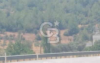 Doğa içinde Satılık Villa Arsası