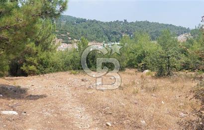 Bodrum Milas Yolu üzeri Satılık Villa Arsası
