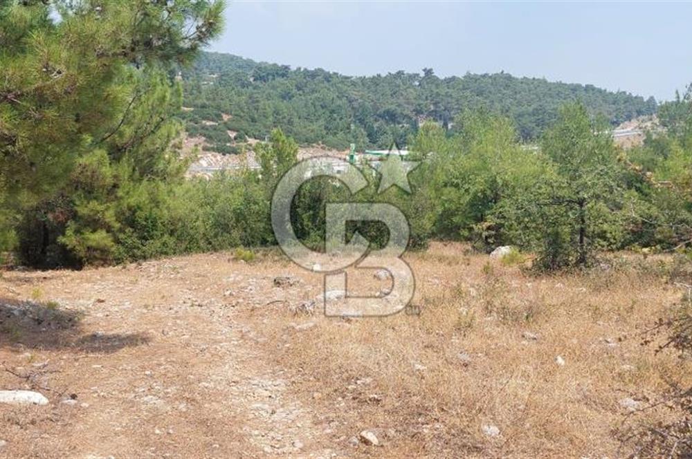 Doğa içinde Satılık Villa Arsası