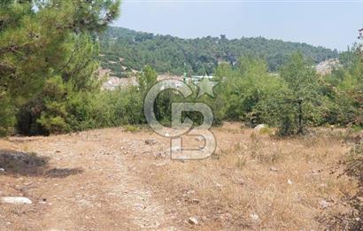 Doğa içinde Satılık Villa Arsası