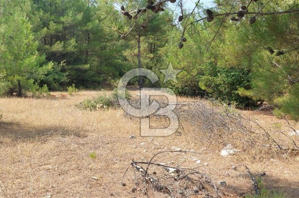 Bodrum Milas Yolu üzeri Satılık Villa Arsası
