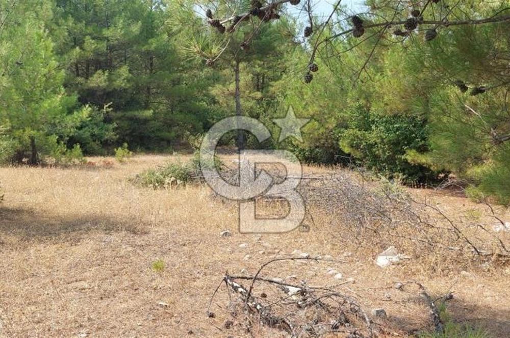 Doğa içinde Satılık Villa Arsası