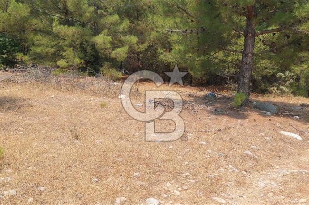 Bodrum Milas Yolu üzeri Satılık Villa Arsası