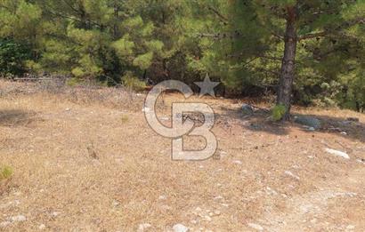 Bodrum Milas Yolu üzeri Satılık Villa Arsası