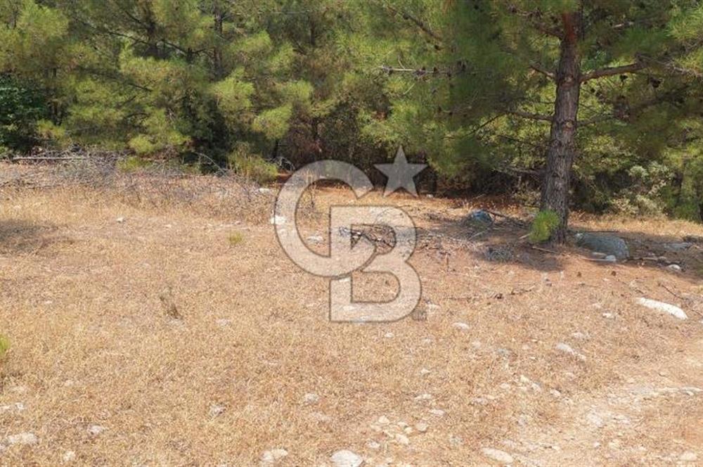 Doğa içinde Satılık Villa Arsası