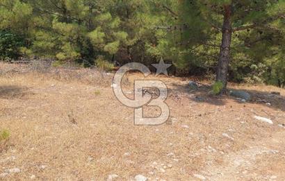 Doğa içinde Satılık Villa Arsası