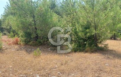 Bodrum Milas Yolu üzeri Satılık Villa Arsası