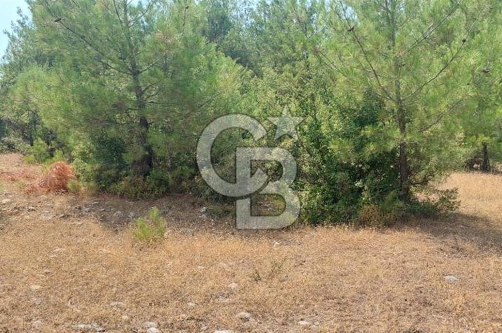 Doğa içinde Satılık Villa Arsası
