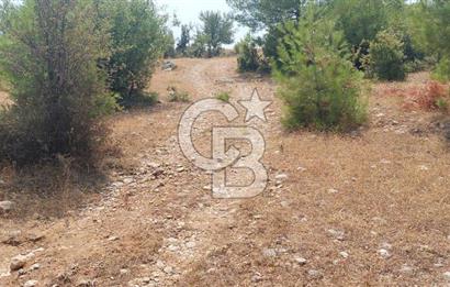 Bodrum Milas Yolu üzeri Satılık Villa Arsası
