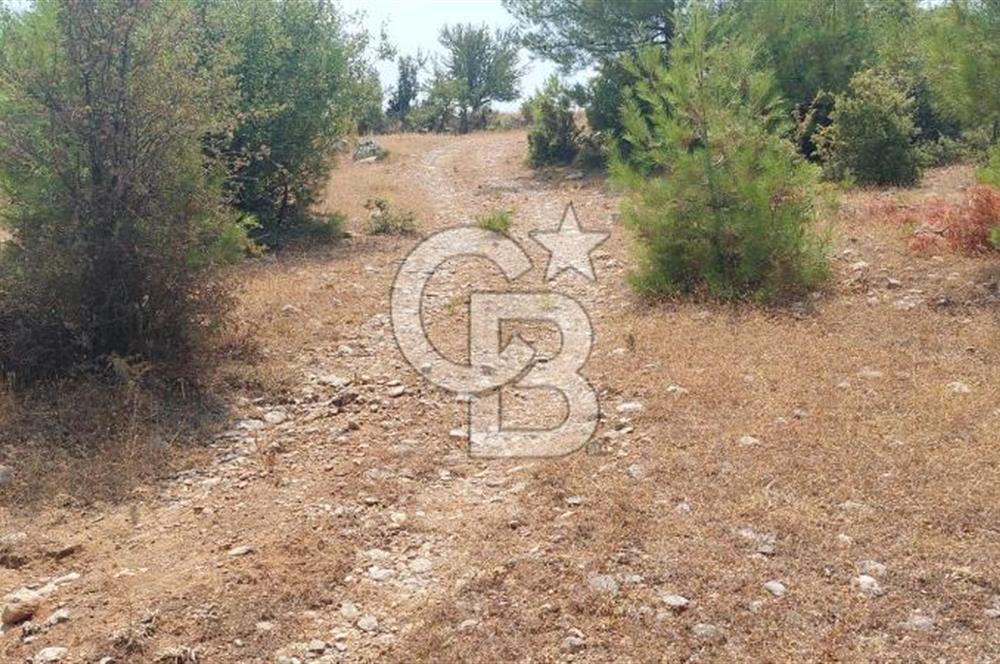 Doğa içinde Satılık Villa Arsası