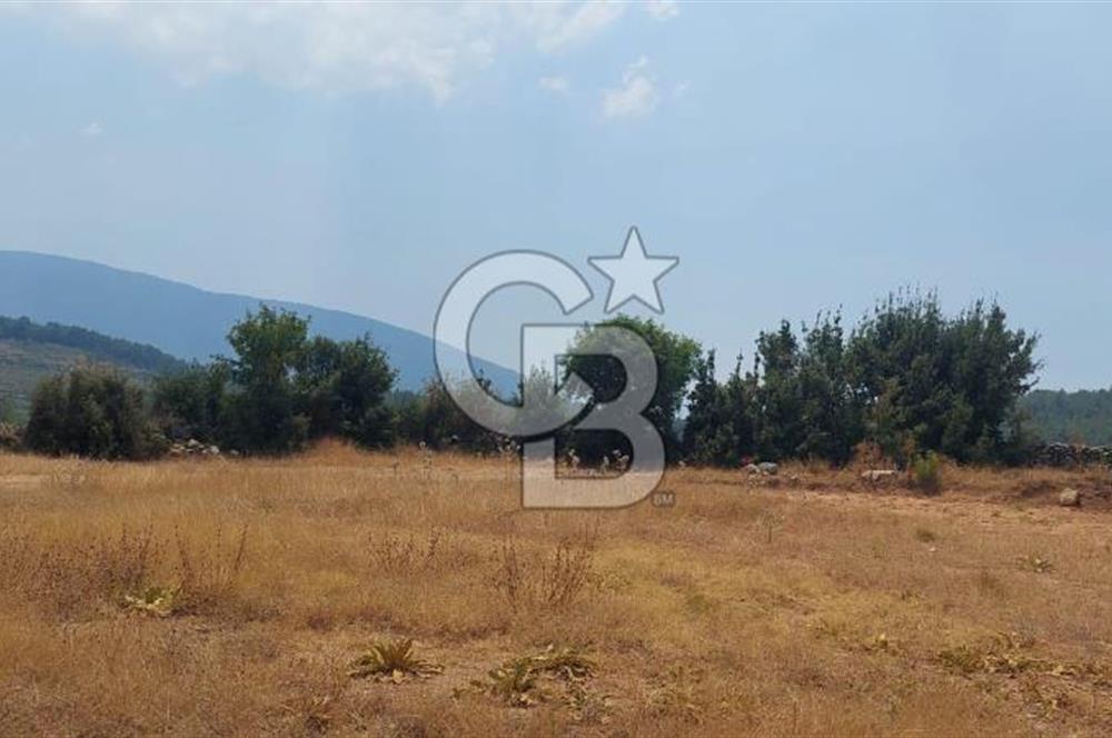 Bodrum Milas Yolu üzeri Satılık Villa Arsası