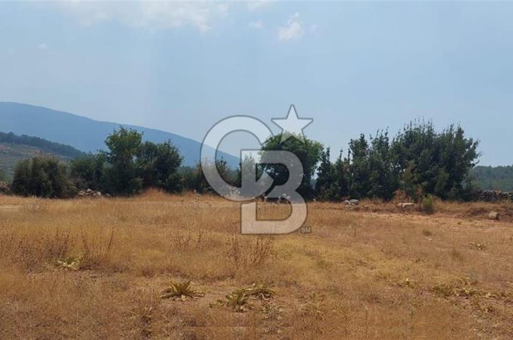 Doğa içinde Satılık Villa Arsası