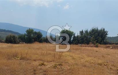 Doğa içinde Satılık Villa Arsası
