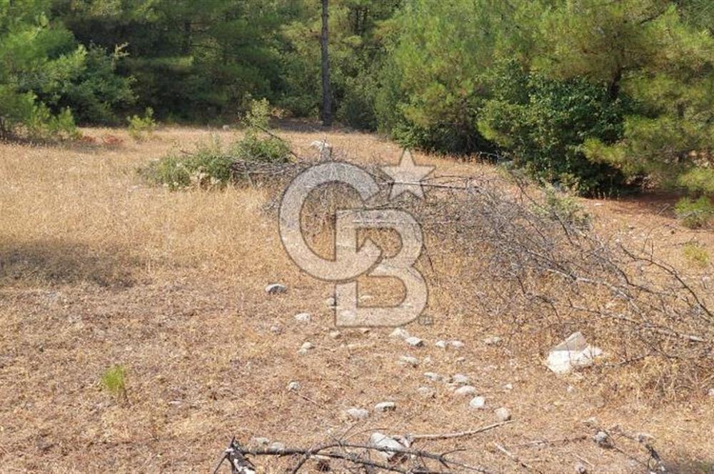 Doğa içinde Satılık Villa Arsası