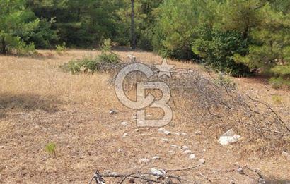 Doğa içinde Satılık Villa Arsası