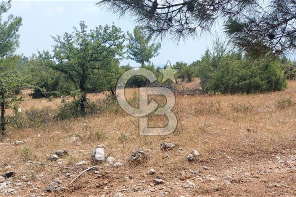 Doğa içinde Satılık Villa Arsası