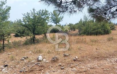 Doğa içinde Satılık Villa Arsası