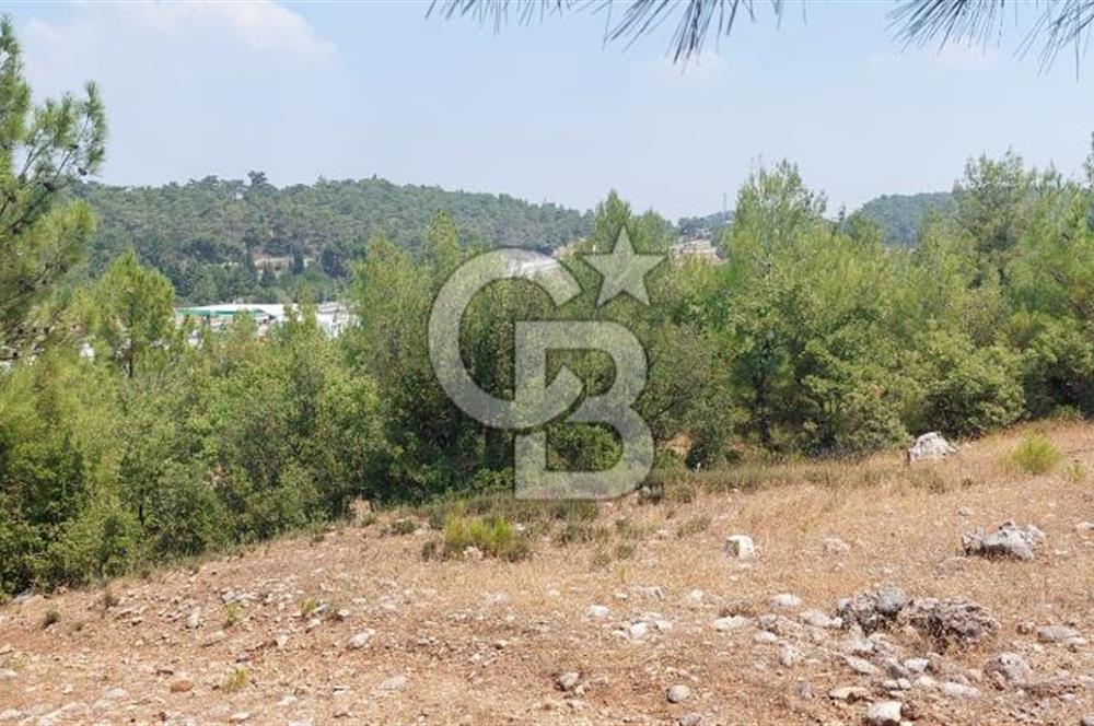 Doğa içinde Satılık Villa Arsası