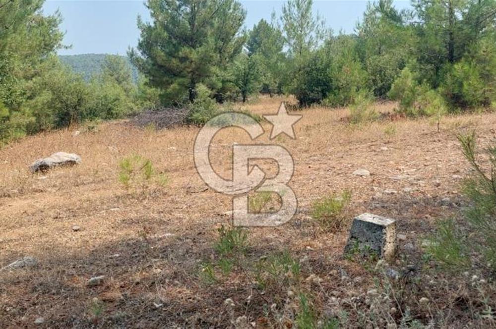Bodrum Milas Yolu üzeri Satılık Villa Arsası