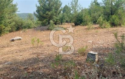 Doğa içinde Satılık Villa Arsası
