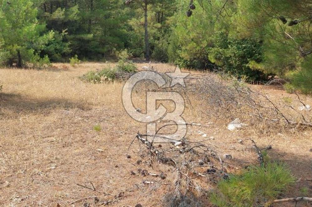 Doğa içinde Satılık Villa Arsası
