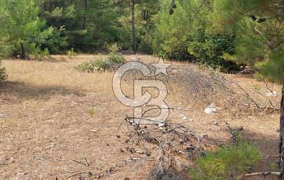 Doğa içinde Satılık Villa Arsası