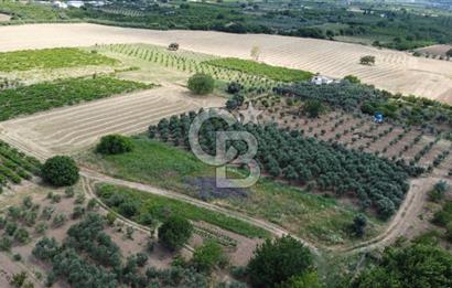 KEMALPAŞA YUKARIKIZILCA'DA SATILIK BAĞ