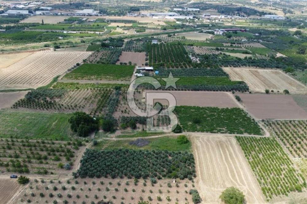 KEMALPAŞA YUKARIKIZILCA'DA SATILIK BAĞ