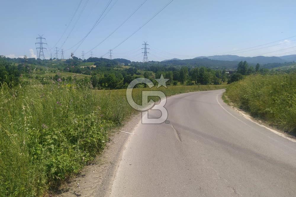  1321236741 YALOVA ÇİFTLİKKÖY İYASKÖYDE ASFALT YOLA CEPHELİ SATILIK TARLA 