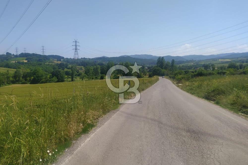  1321236741 YALOVA ÇİFTLİKKÖY İYASKÖYDE ASFALT YOLA CEPHELİ SATILIK TARLA 
