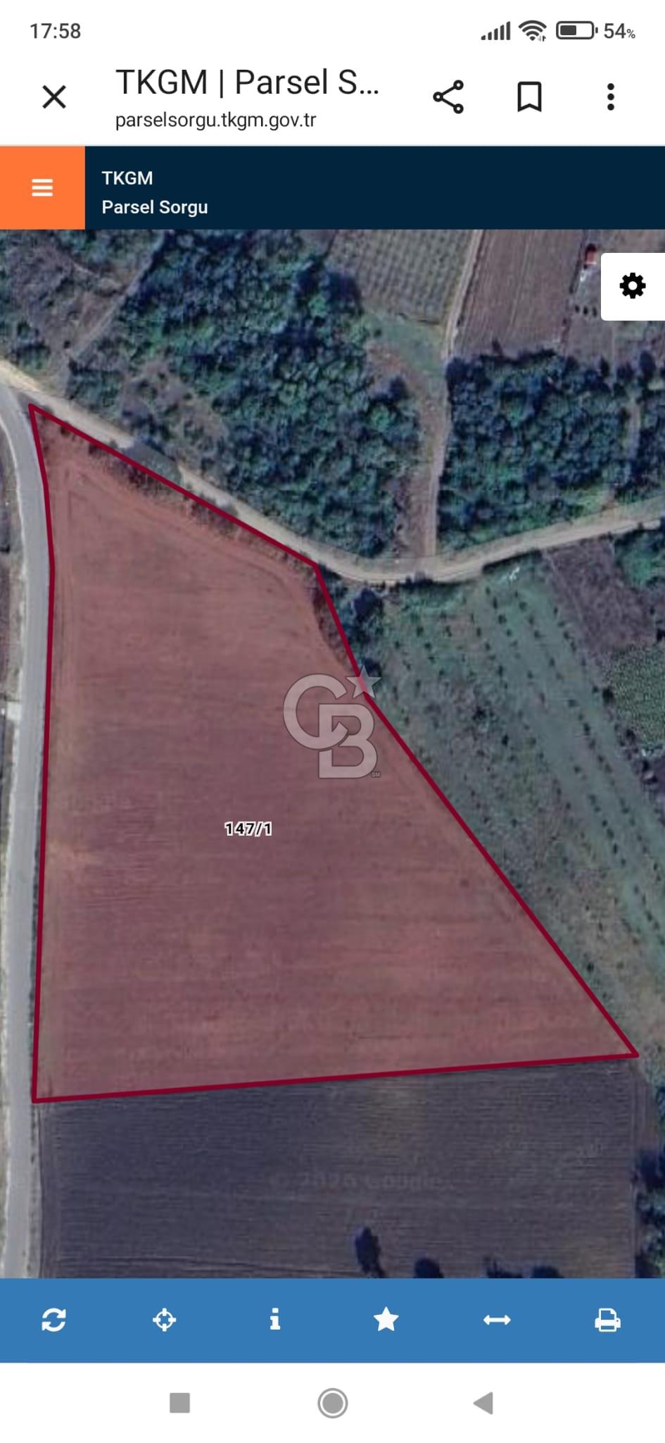  1321236741 YALOVA ÇİFTLİKKÖY İYASKÖYDE ASFALT YOLA CEPHELİ SATILIK TARLA 