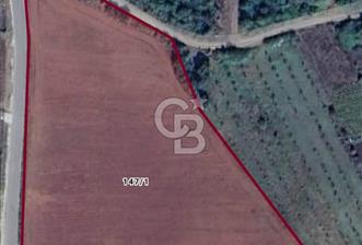  1321236741 YALOVA ÇİFTLİKKÖY İYASKÖYDE ASFALT YOLA CEPHELİ SATILIK TARLA  - 12 - 353434