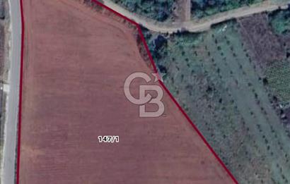  1321236741 YALOVA ÇİFTLİKKÖY İYASKÖYDE ASFALT YOLA CEPHELİ SATILIK TARLA 