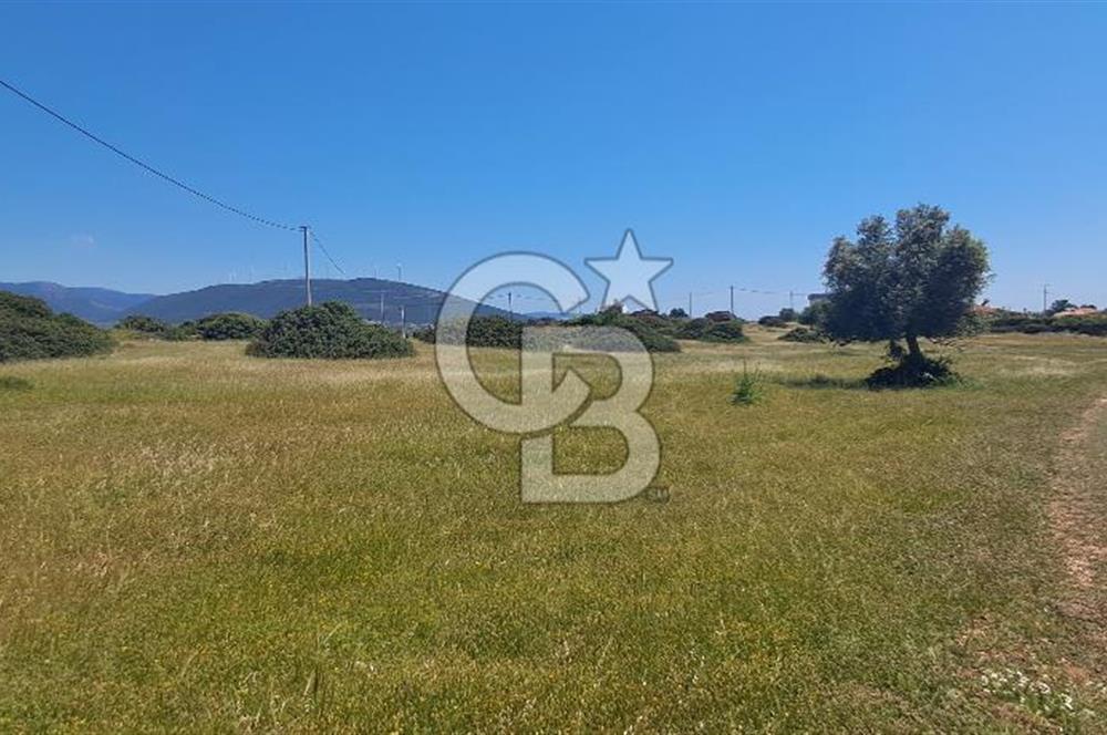 Didim Toki Karşısı 300 M2 Su Elektrik Mevcut Satılık Villa Arsası